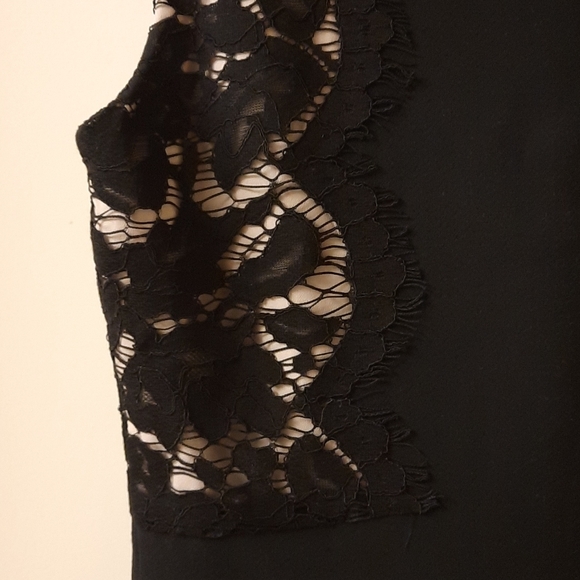 J. Crew Lace Panel Sheath Dress - Picture 11 of 12